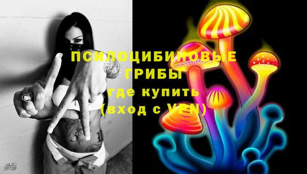 гидропоника Верея