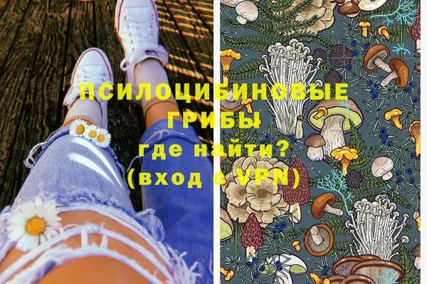 гидропоника Верея