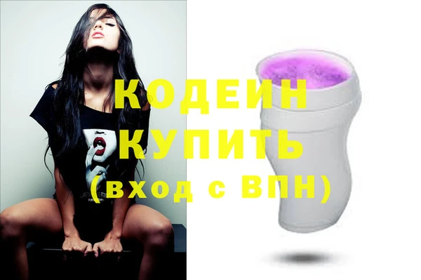 индика Волосово