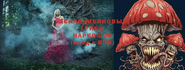 гидропоника Верея