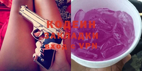 индика Волосово