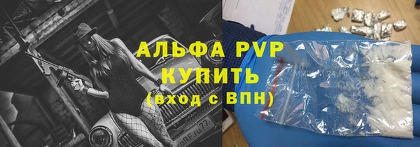 индика Волосово