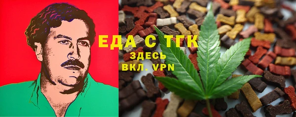 индика Волосово