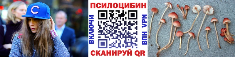 Купить закладки  Свирск  Псилоцибиновые грибы GOLDEN TEACHER 